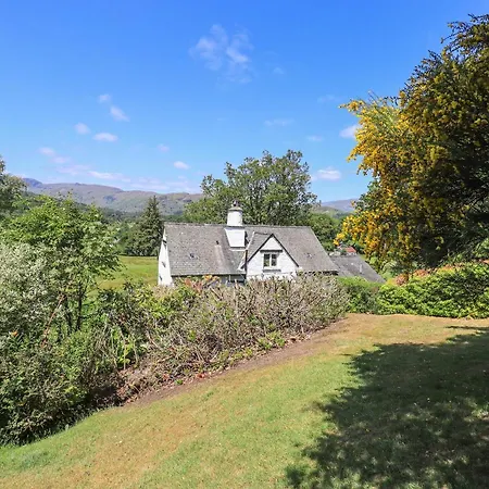 Spindle Coppice * Ambleside